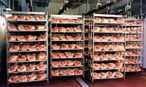 A large amount of meat is on the shelves.